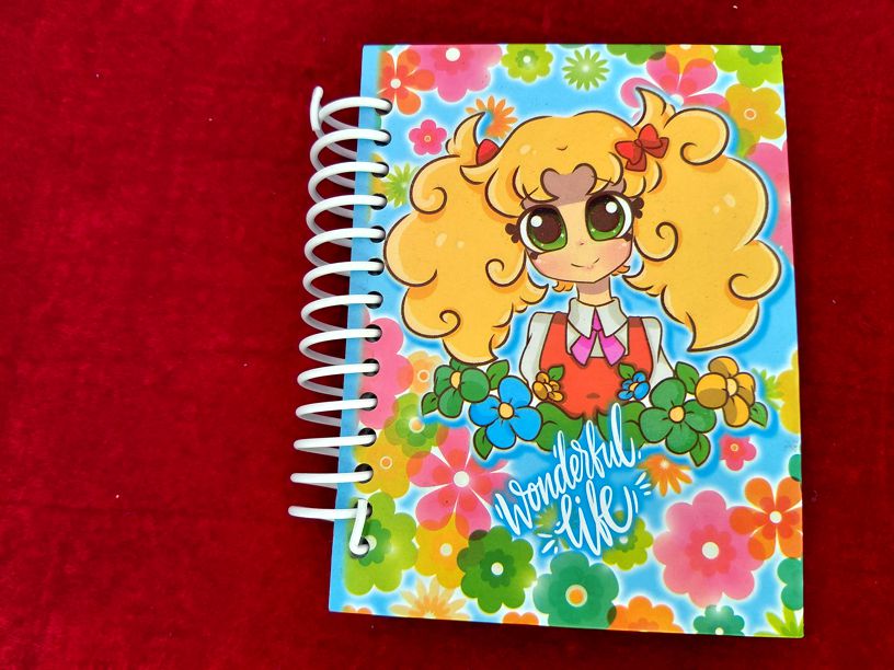 PASTA DURA 
14 x 10.50 cm.
100 HOJAS
$ 40.00