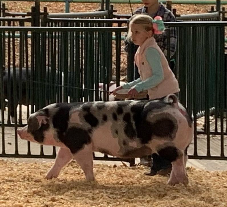 Liza Jo Lowery
2021 Turkey Trot Jackpot
Champion Spot Gilt