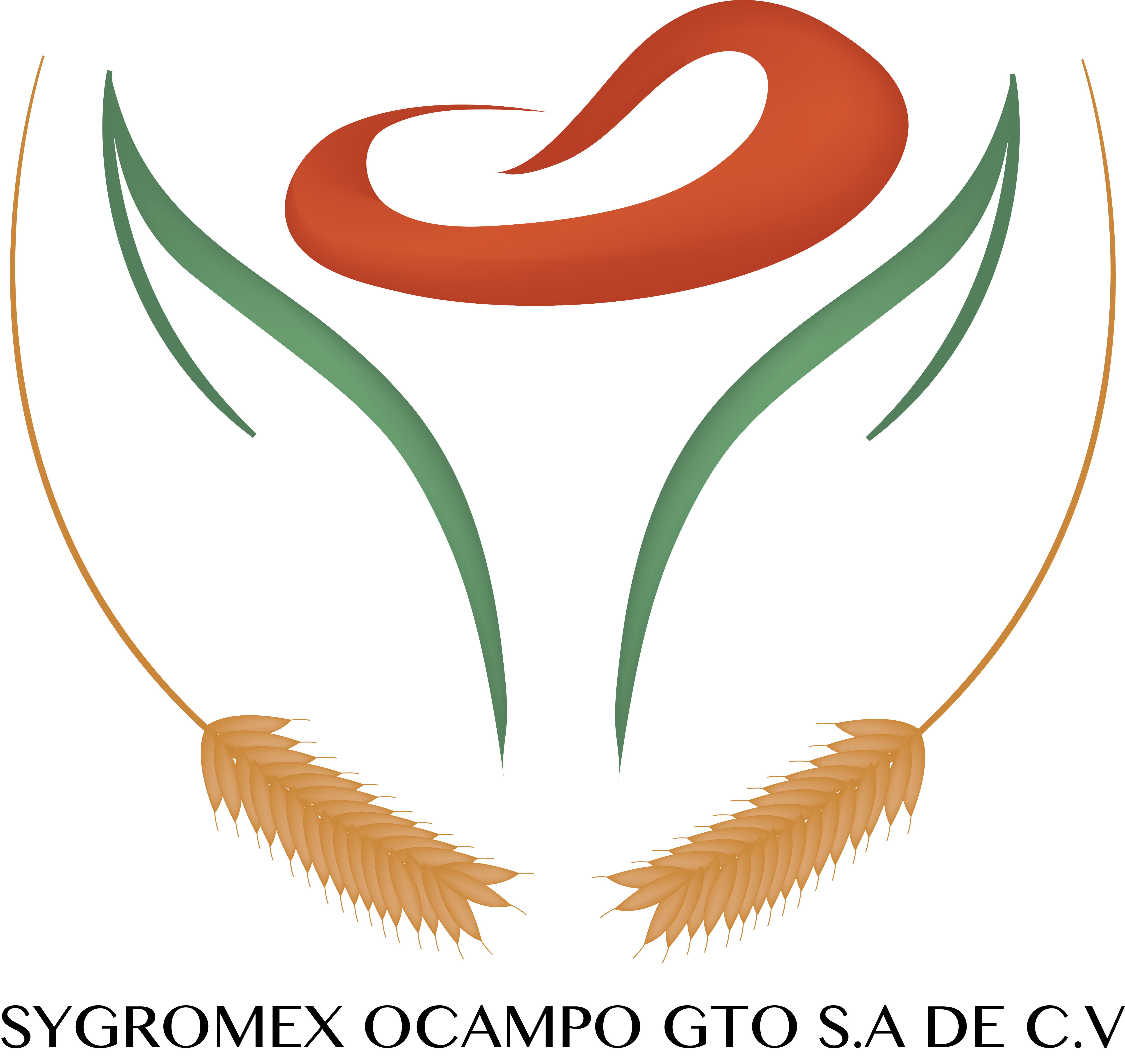 SYGROMEX OCAMPO GTO SA DE CV