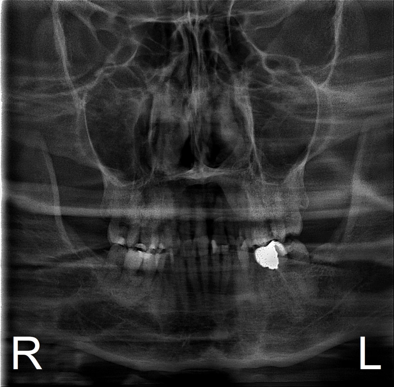 https://0201.nccdn.net/4_2/000/000/017/e75/photo_2023-03-07_15-43-04.jpg