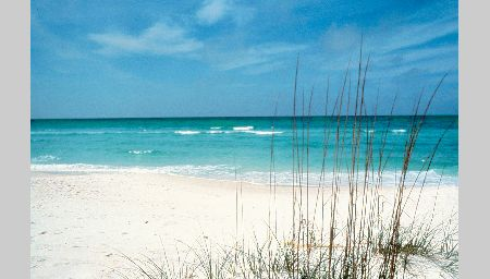 Emerald Coast Seashore 