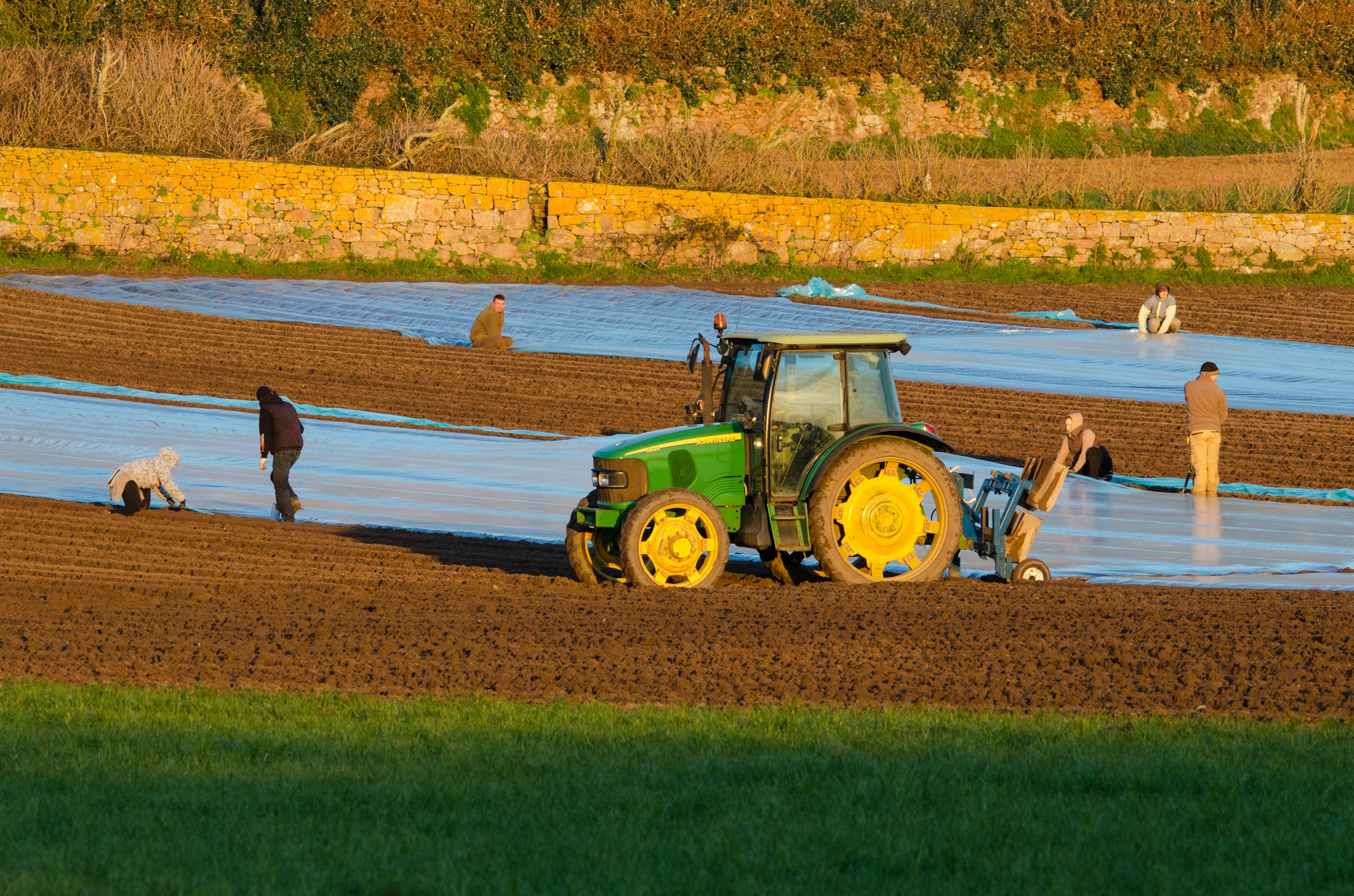 un tractor está arando un campo con personas cerca