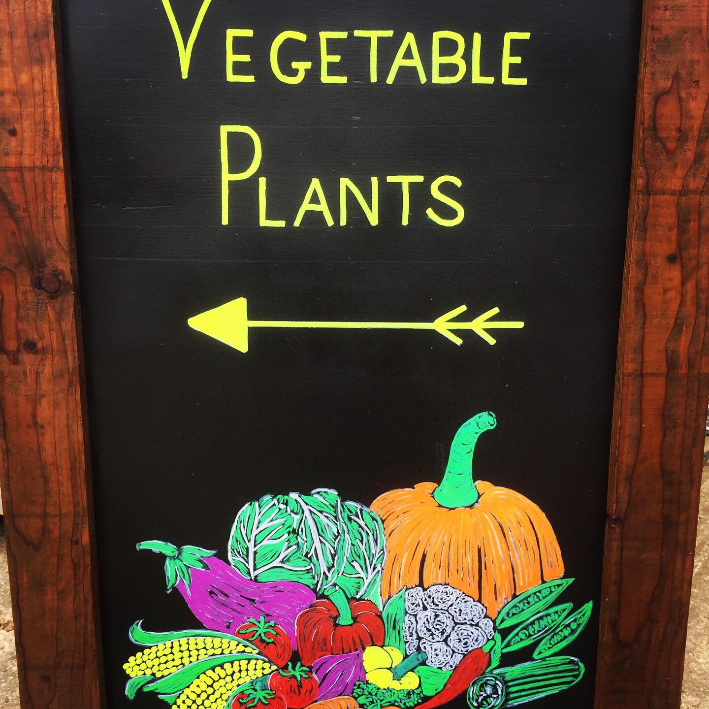 https://0201.nccdn.net/4_2/000/000/017/e75/vegetable-plants-sign.jpg