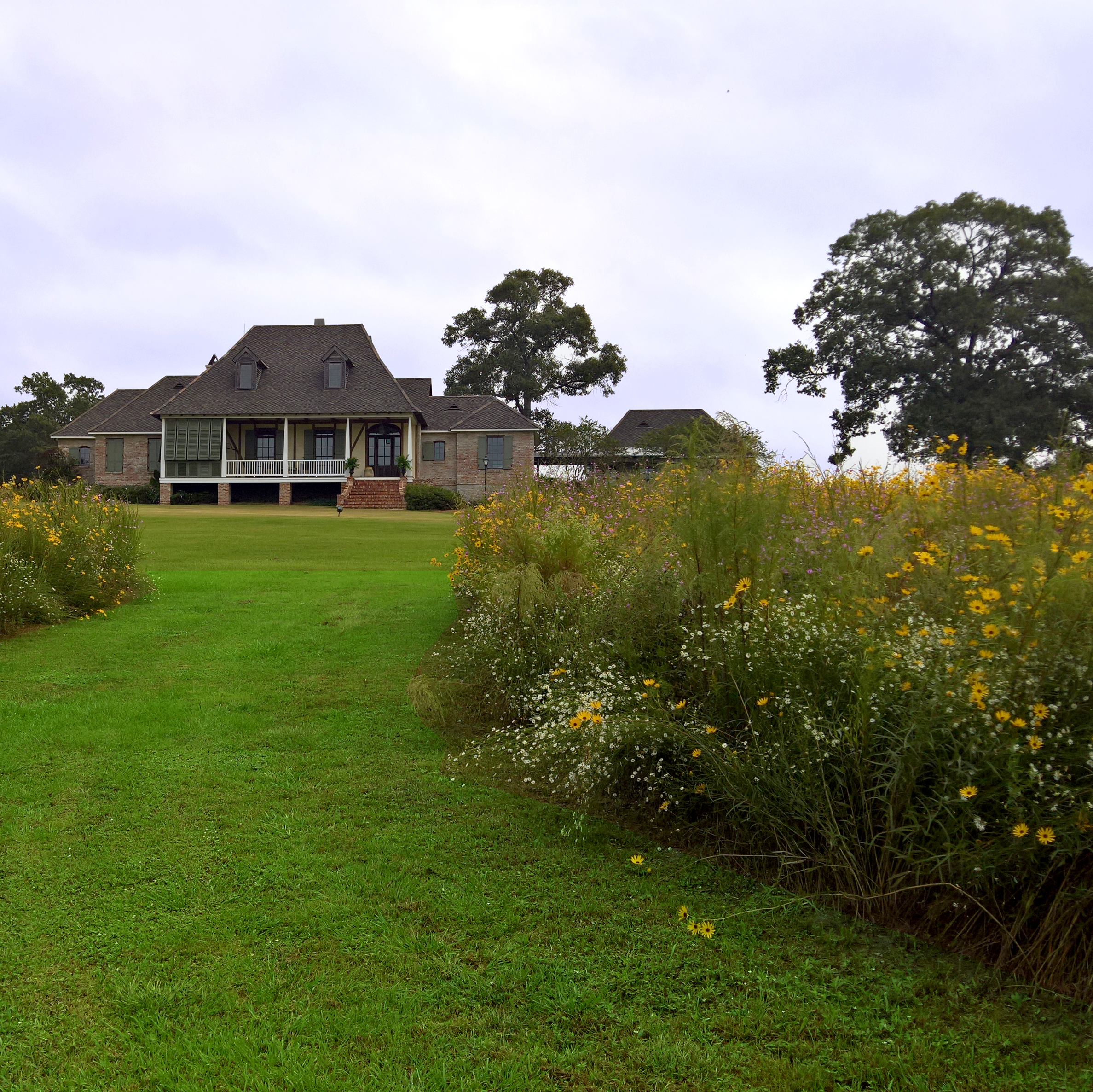 Pineville Prairie