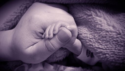 Little Baby's Hand