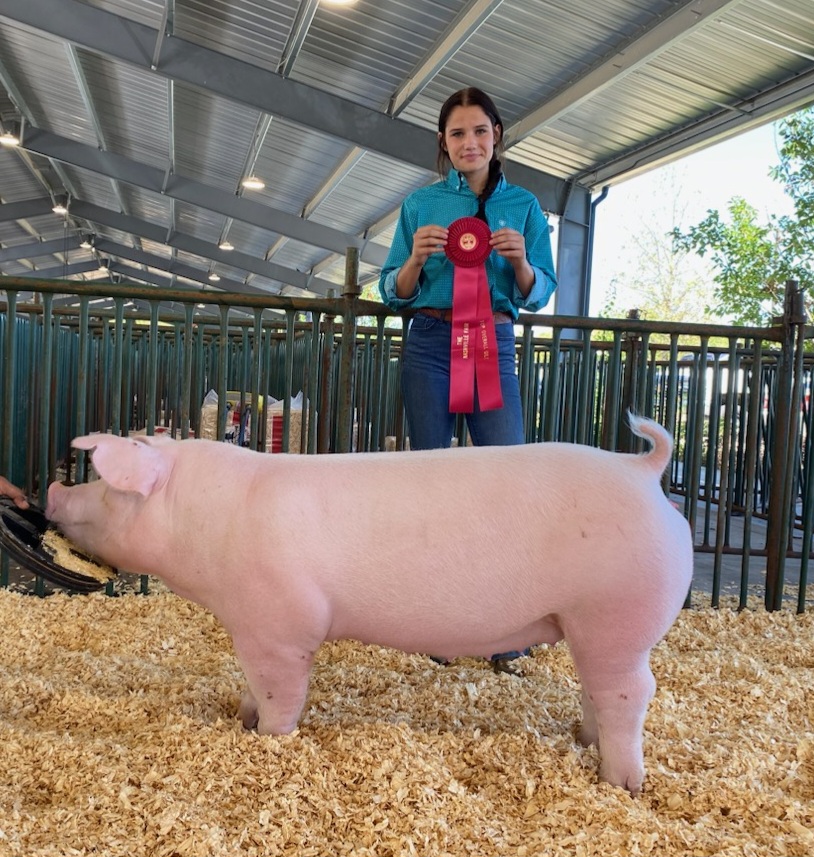 Cara Roach
2024 Nashville Fair
Champion Chester White Gilt
Reserve Overall Gilt