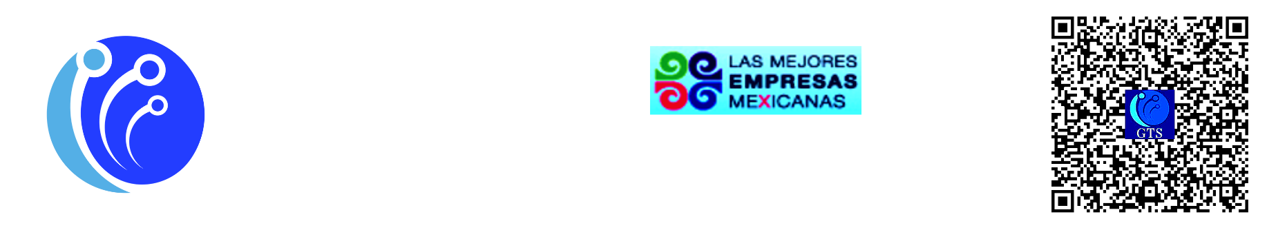 GLOBAL TECHNOLOGICAL SOLUTION