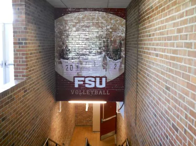FSU VOLLEYBALL
3M Textured Vinyls