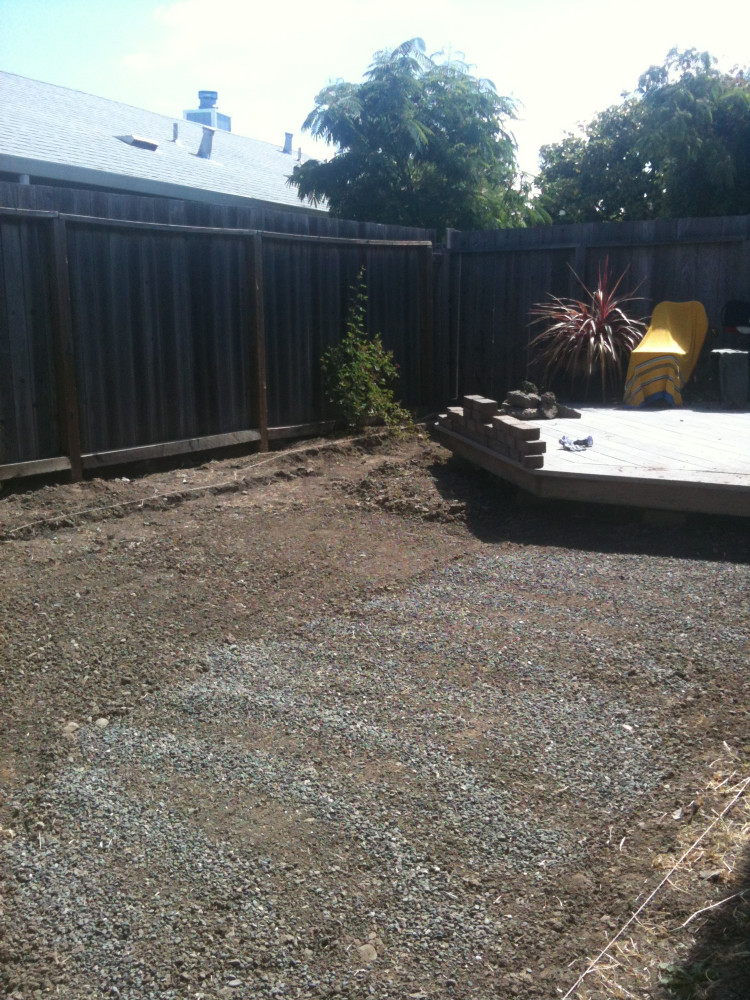 BEFORE - Blank slate after removing 4' high weeds. Beginning to lay base shale to prevent weeds and outlining for perimeter planting.