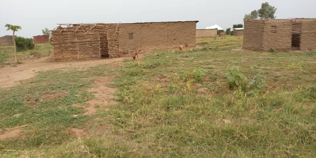 https://0201.nccdn.net/4_2/000/000/019/c2c/AFRICA-2-1040x520.jpg