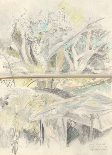 Botanic Gardens Cafe