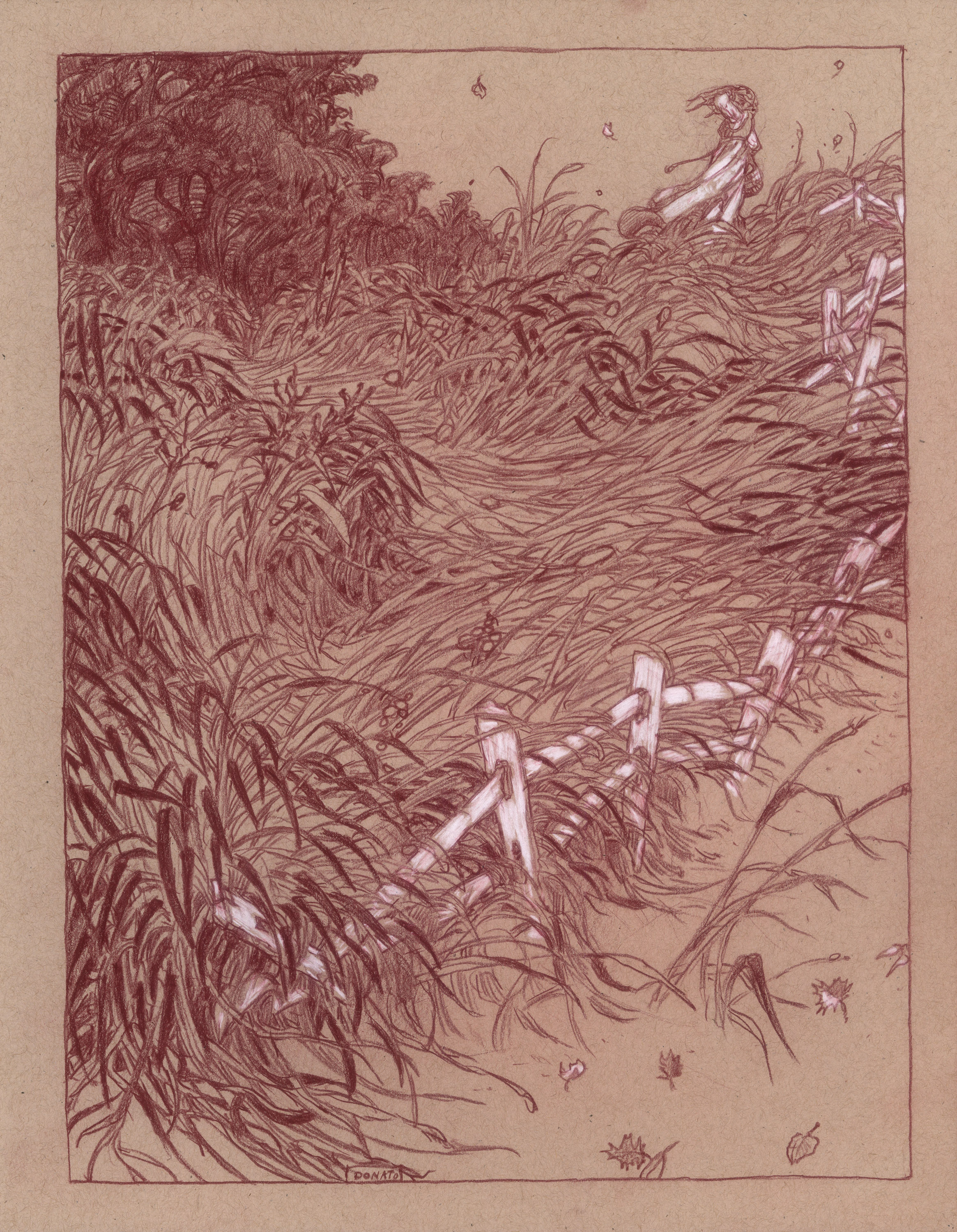 Uprooted- Endpapers
14" x 11" Watercolor Pencil and Chalk on Toned Paper 2018