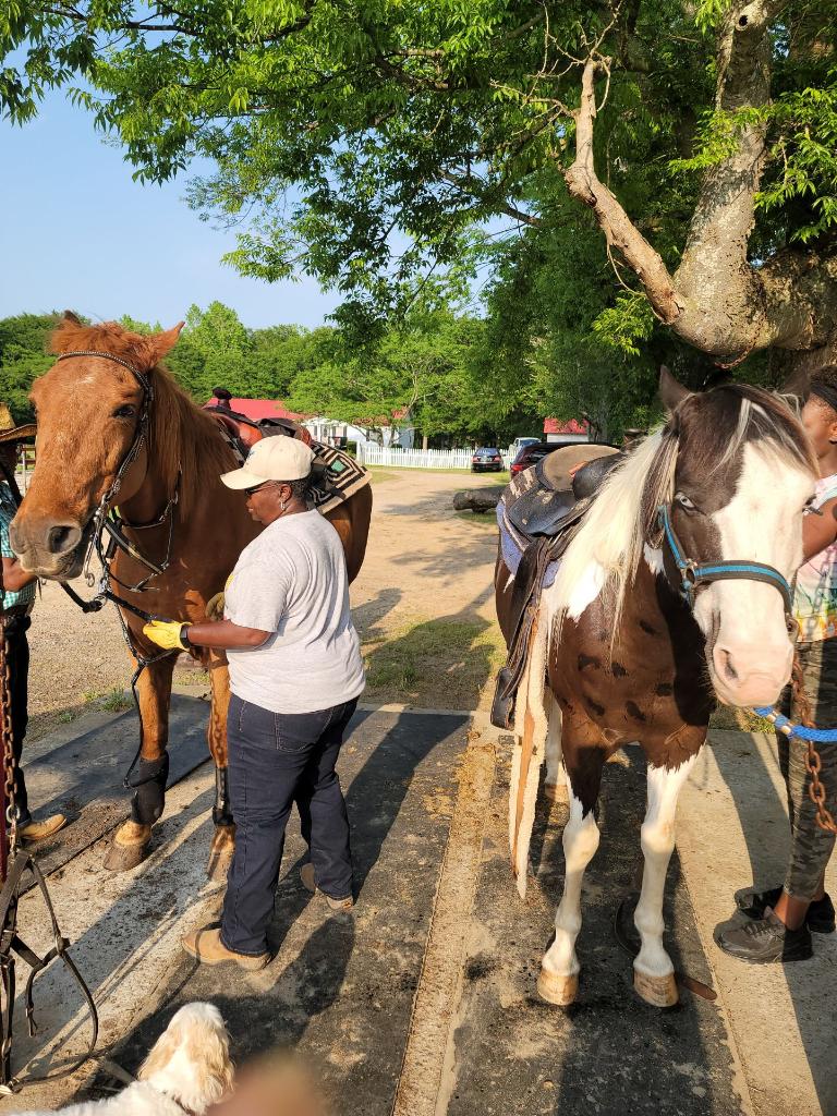 THE BLACK COWBOY FESTIVAL About Us