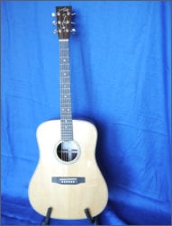 Tenor Guitar Tenor Guitar