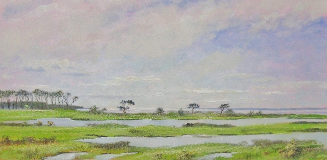 Assateague Island, 8" x 16" Oil on Panel