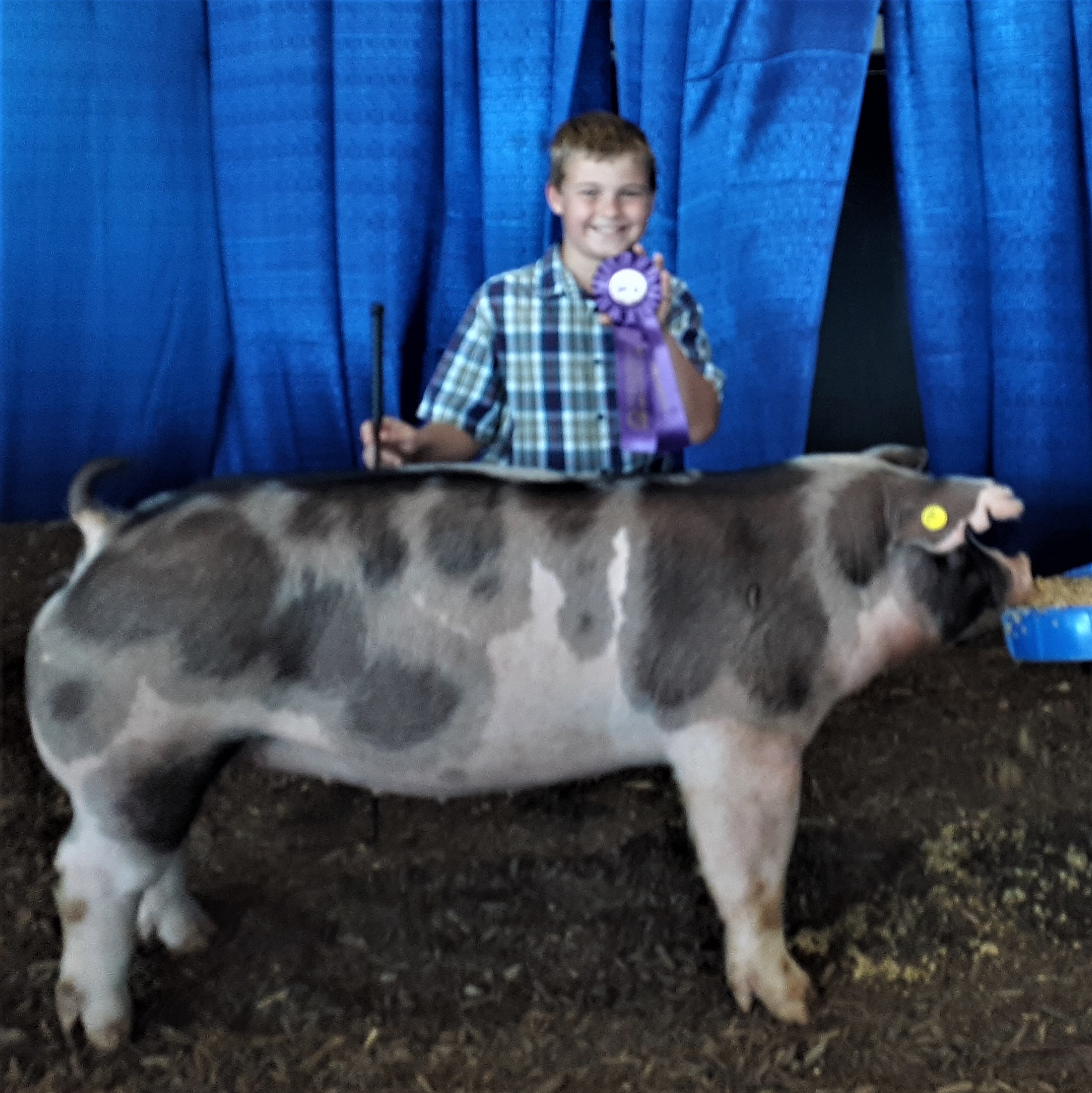 Declan Lusk
2021 Tennessee State Fair
Champion Spot Gilt