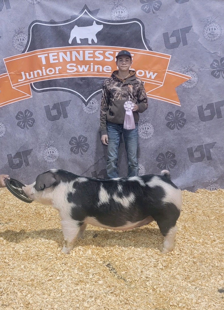 Nathan Roach
2024 TN State Swine Show
Reserve Champion TN Bred
Spot Gilt