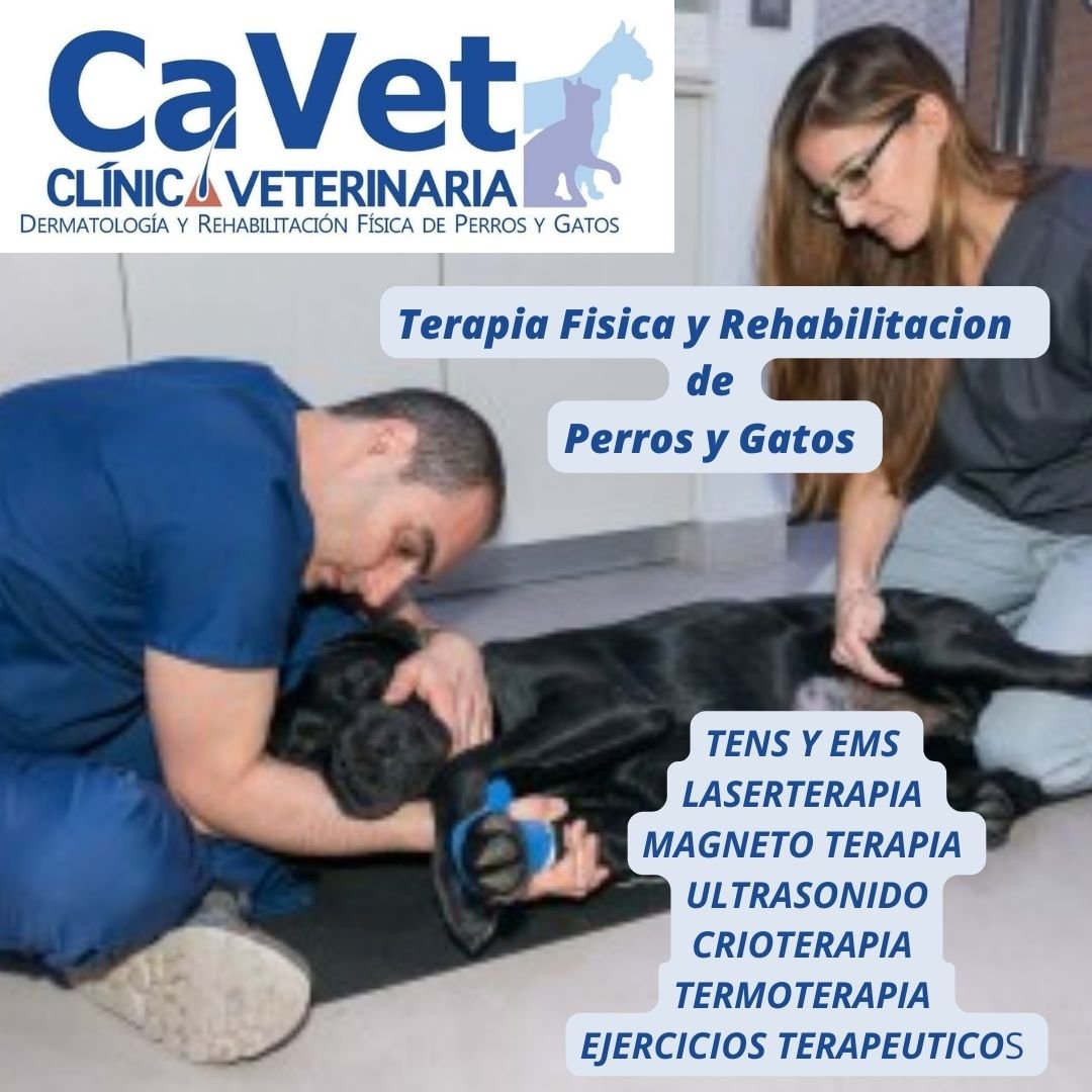 CAVET - Rehabilitación y terapia física