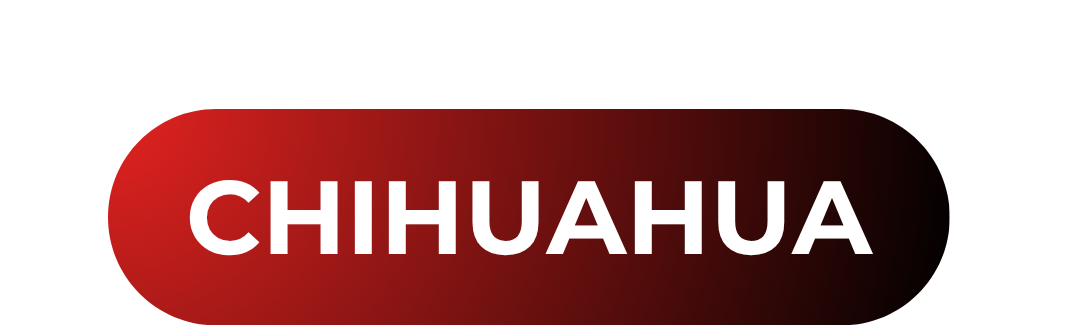 Imagen de logotipo de muestra