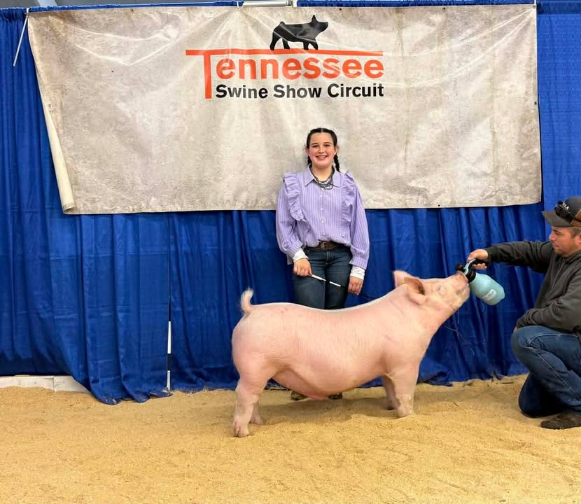 Kinley Porter
2025 TBS New Year's Eve Countdown
Reserve Champion Yorkshire Barrow