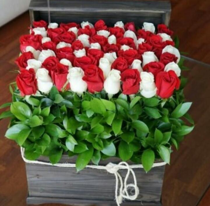 https://0201.nccdn.net/4_2/000/000/01e/20c/IMG-20190430-WA0096.jpg