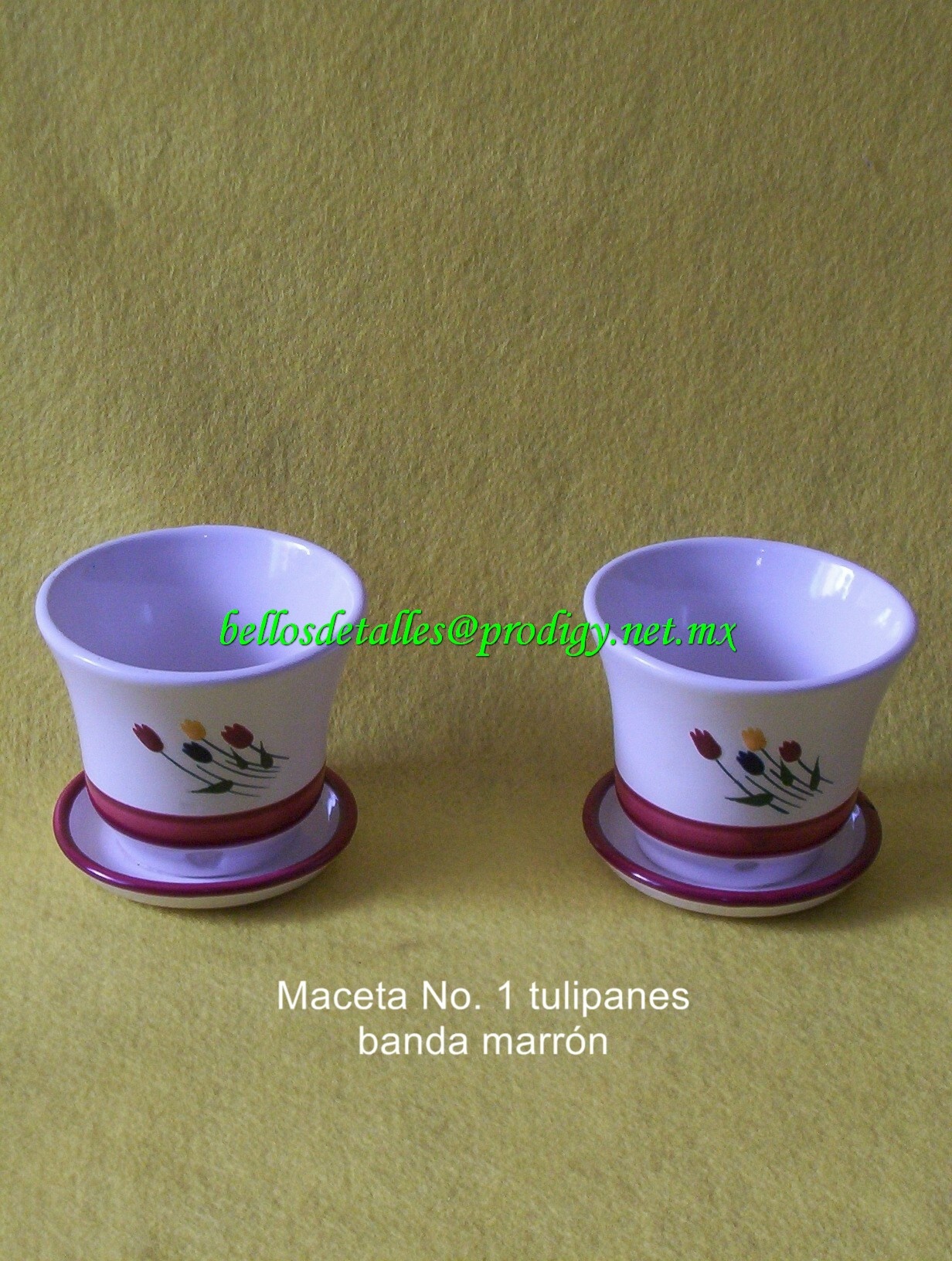 https://0201.nccdn.net/4_2/000/000/01e/20c/Maceta-No.-1-tulipanes-banda-marr--n-1232x1632.jpg