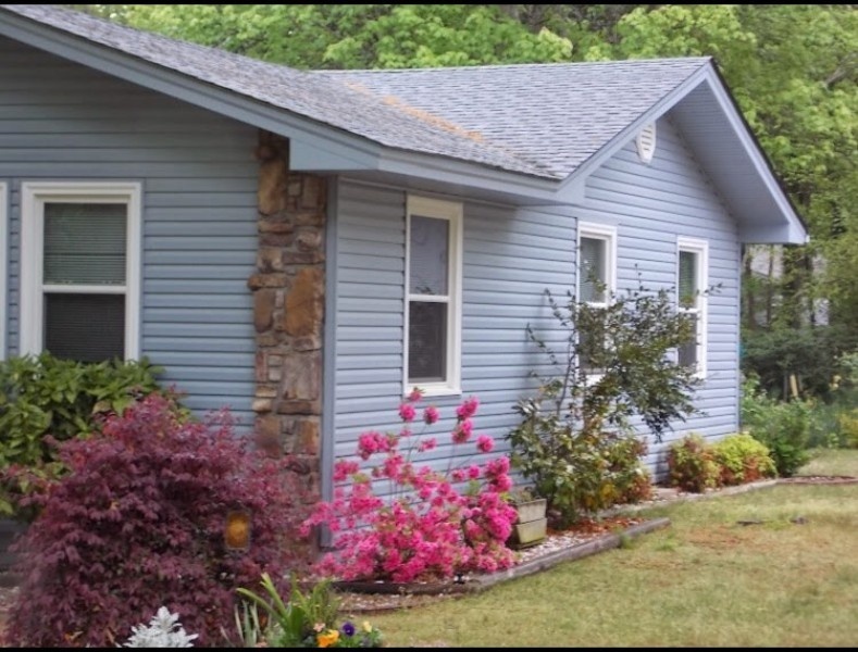 T-Rex Siding, Windows, and More