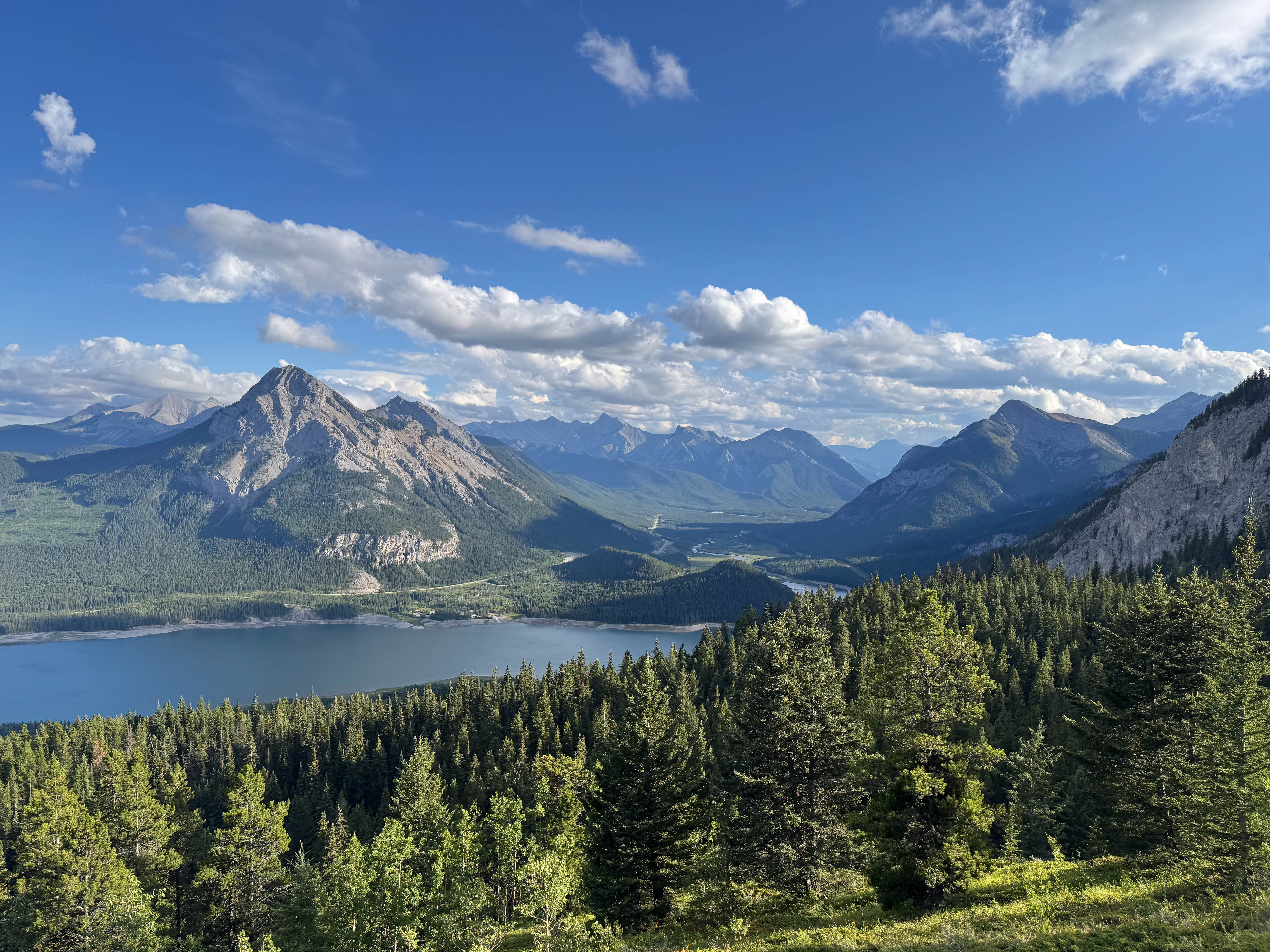 https://0201.nccdn.net/4_2/000/000/01e/20c/calgary-order-9.jpg