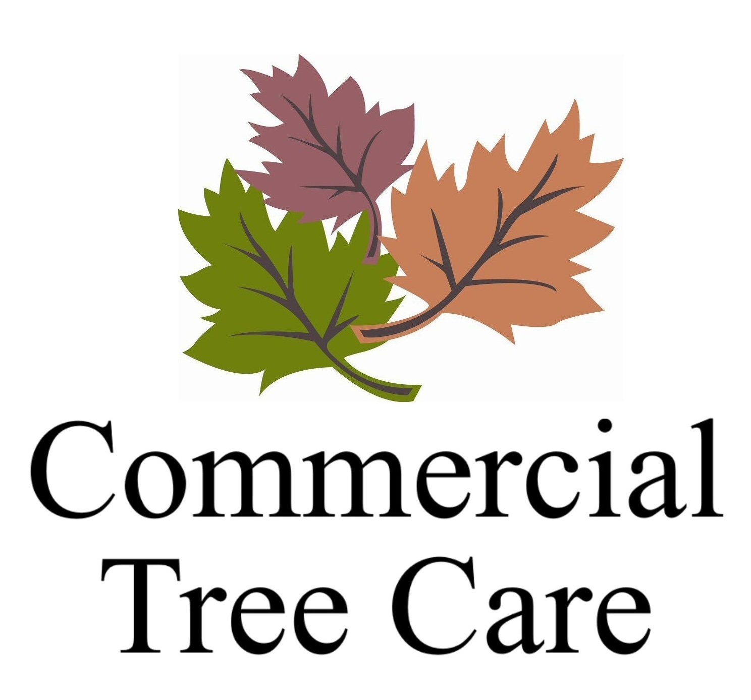 Commercial Tree Care