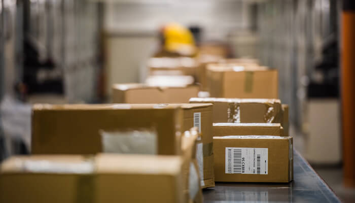 SPINBOX MENSAJERIA S.A. DE C.V. - Servicios Terrestres