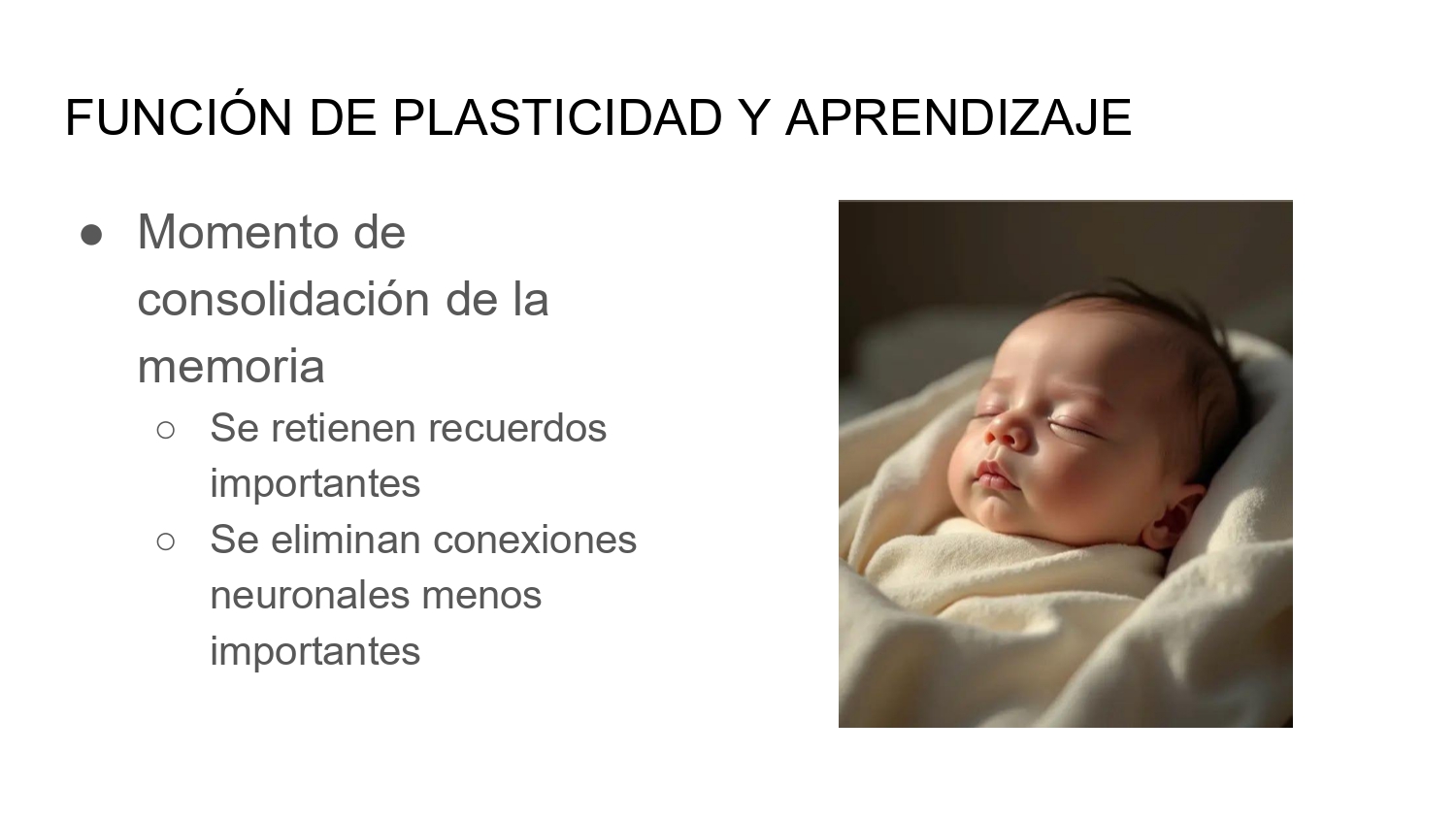 https://0201.nccdn.net/4_2/000/000/01e/20c/higiene-de-sue%C3%B1o-_page-0011.jpg