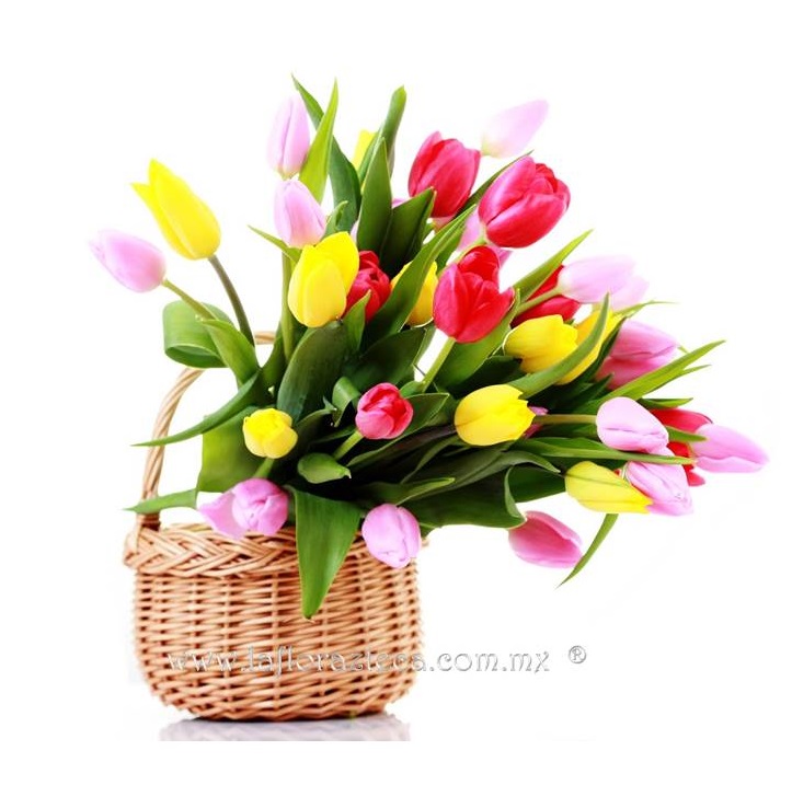 LFA-402
Precio $2,530
