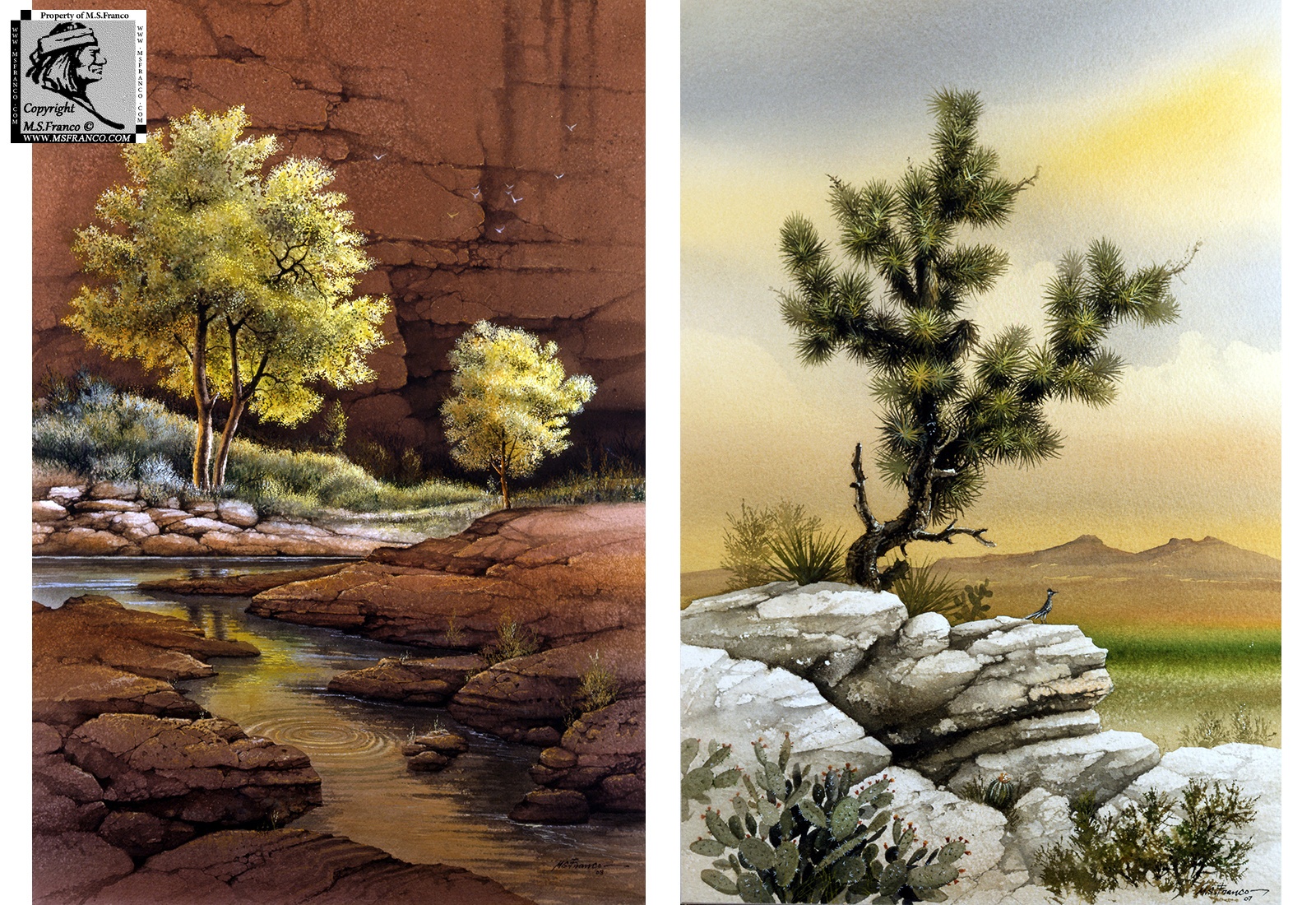 "Cottonwood Canyon"
and 
"Joshua Tree"