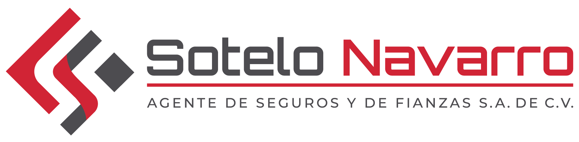 bsgmex.com.mx