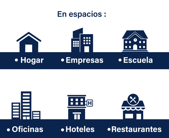 Hormigas voladoras gigantes en el suelo de una habitación iluminada por el sol, con una maceta verde en el fondo.