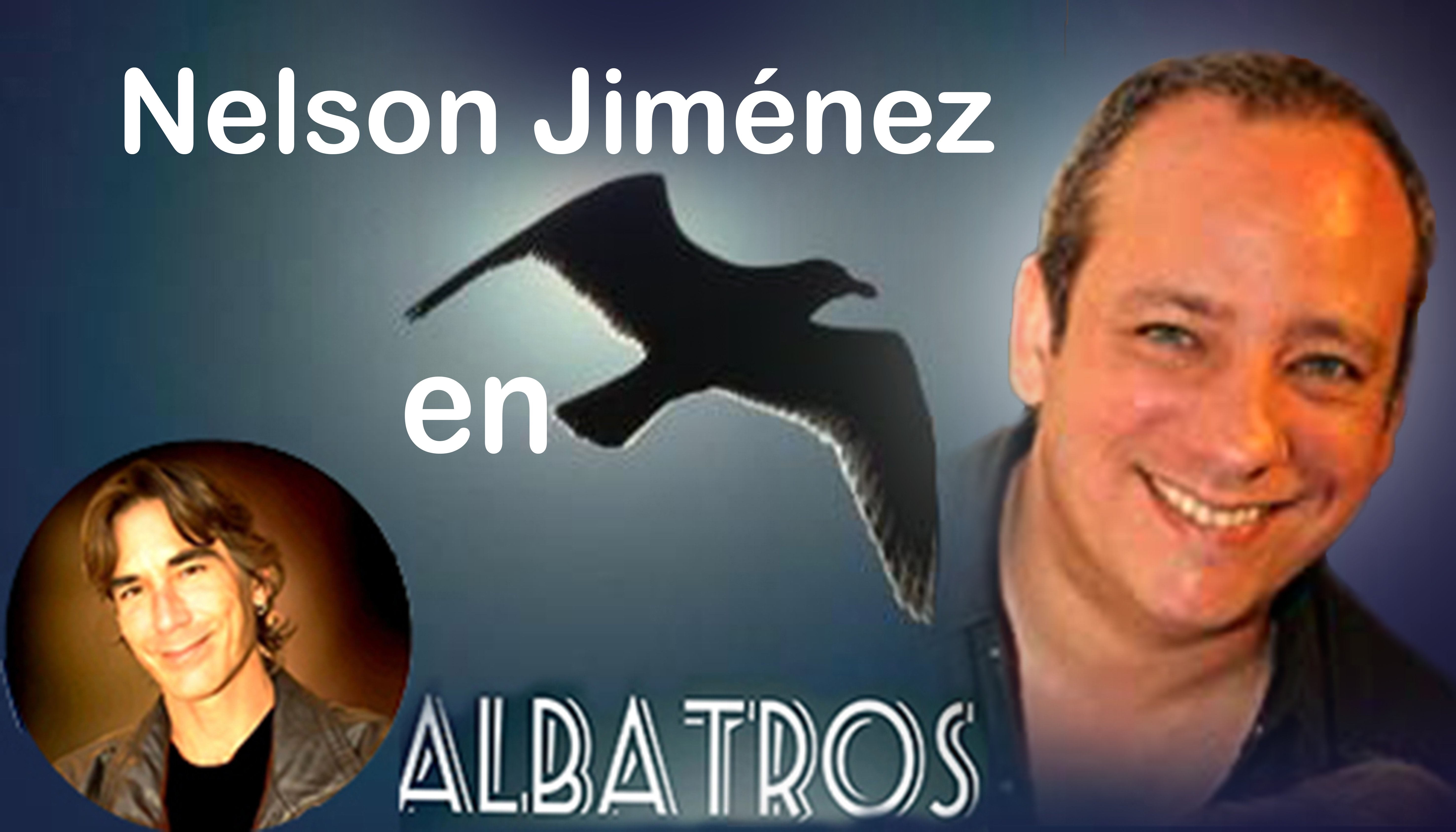 https://0201.nccdn.net/4_2/000/000/01e/20c/nelson-en-albatros.jpg