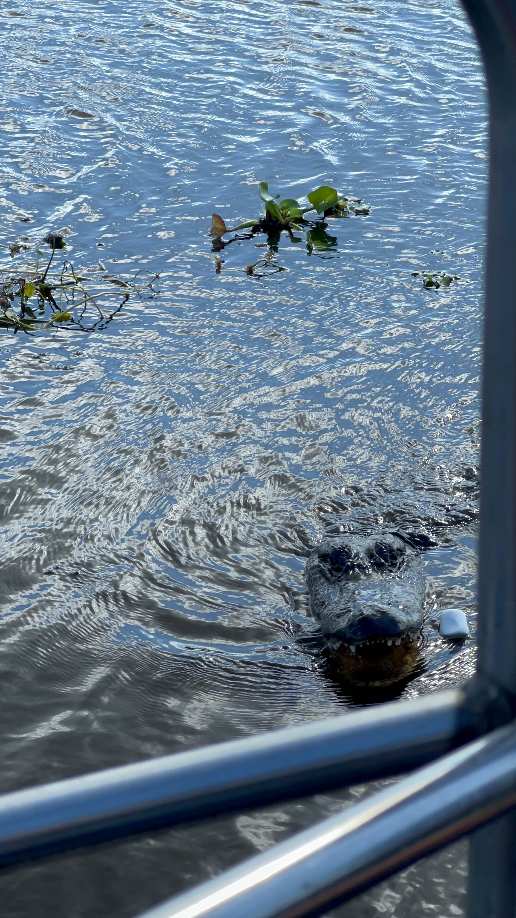 https://0201.nccdn.net/4_2/000/000/01e/20c/new-orleans-order-124.jpg