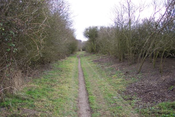Site Clearance - Cambridgeshire