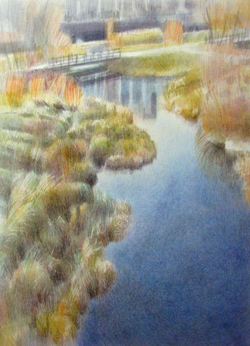 #6 - Moor Hen Pond from the path on top of the Ecology Pavilion 29th January 2009