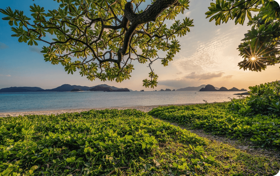 Tropical beach