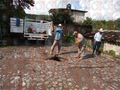 Apoyo de sondeo de drenaje en la Agencia de Santa María Ayú  
Mes: Septiembre