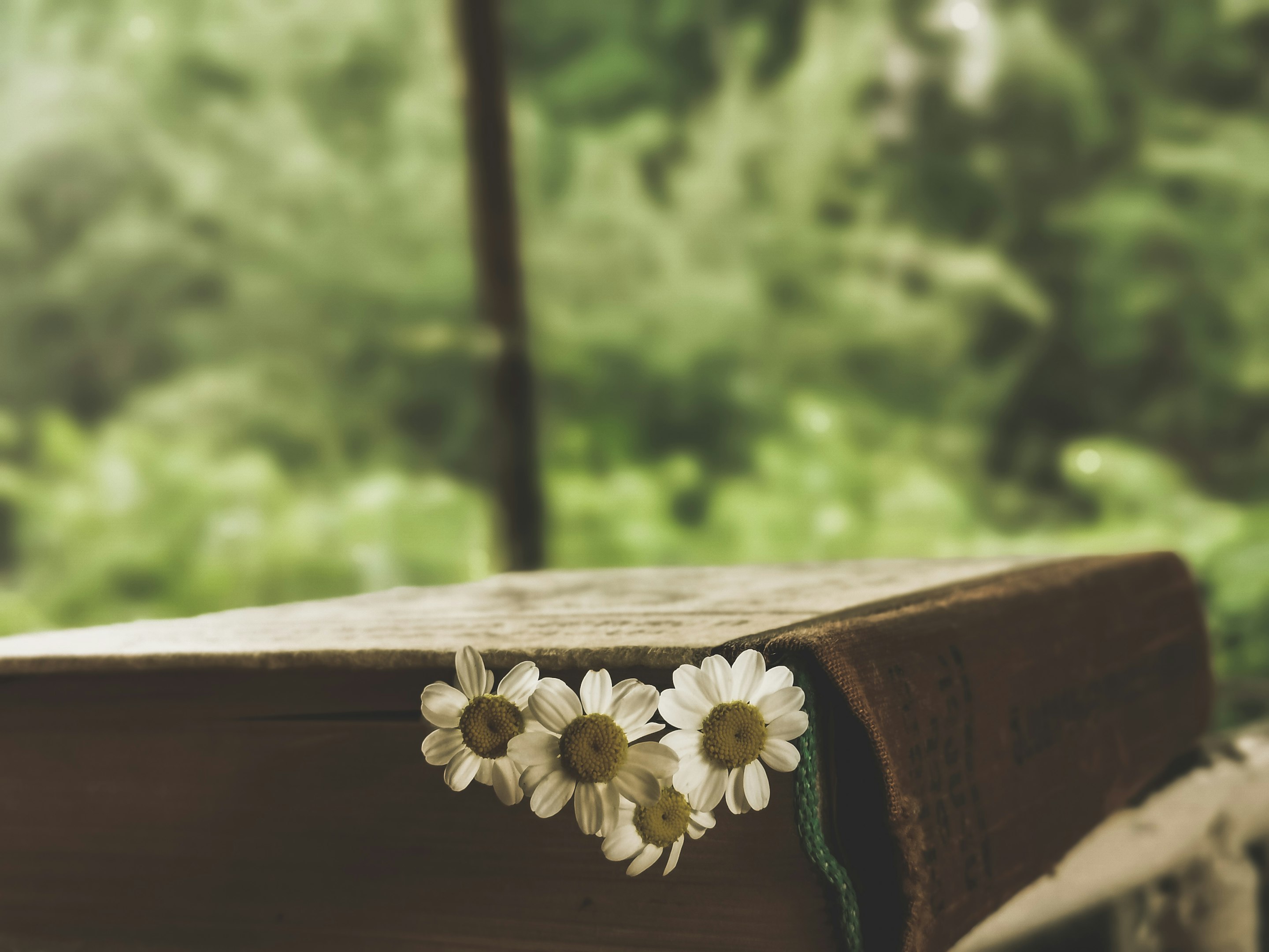 a close up of a book with flowers on it