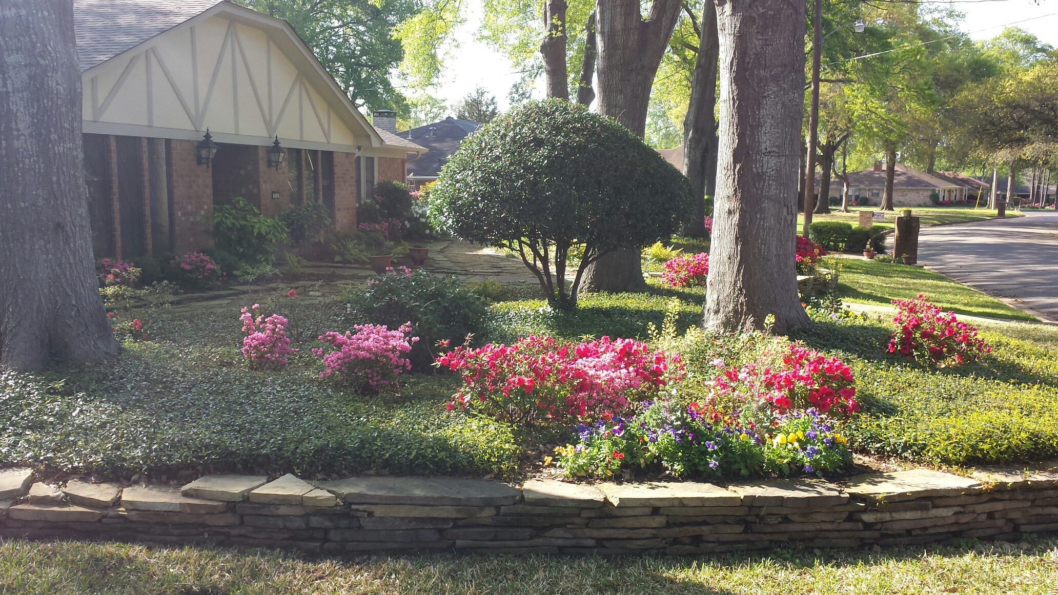 Vibrant Outdoor Appeal