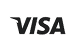 Visa icon