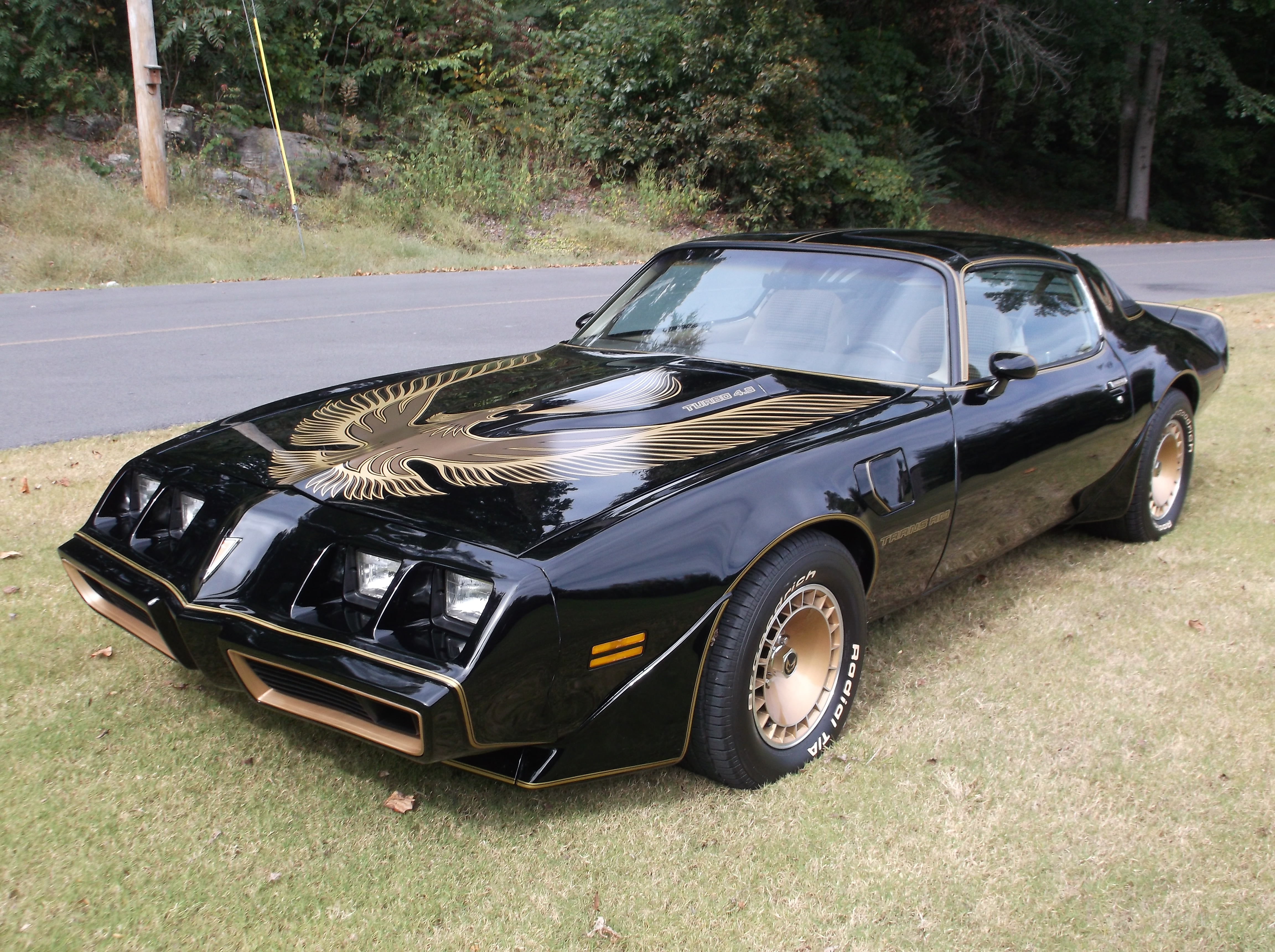 1981 Pontiac Trans Am Bandit
SE Y84 LO MILES NICE GA CAR
***SOLD***