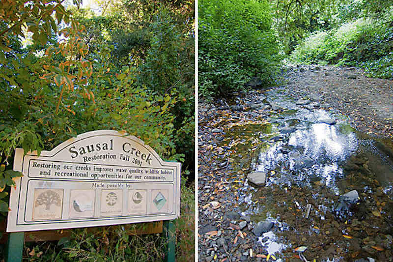 Sausal Creek runs 3.1 miles from the hills above Oakland, winds through Dimond Park, and flows to the Oakland estuary. Volunteers of the non-profit group Friends of Sausal Creek are taking the lead in efforts to restore the Sausal Creek watershed in Dimond Canyon. 
