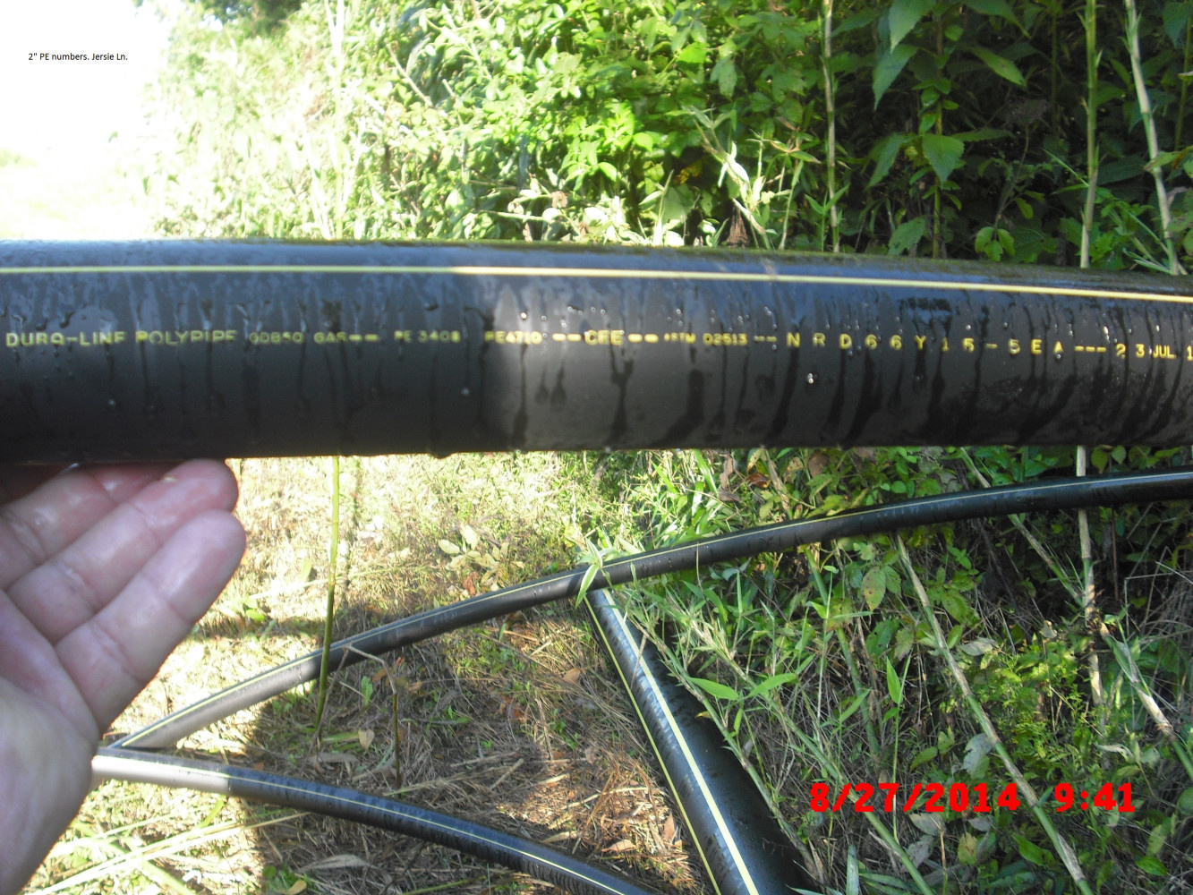 PE Numbers At Jersie Lane