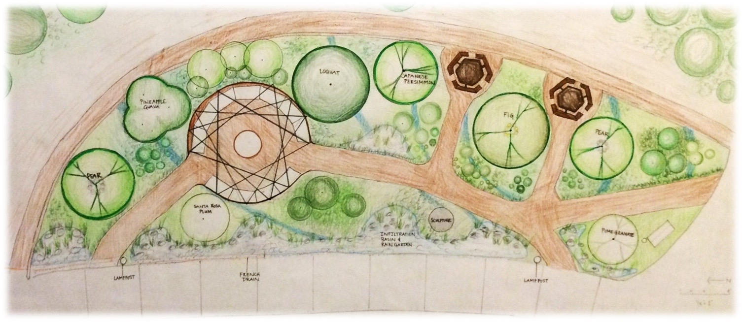 Do you want a Permaculture Food Forest full of edibles? This one at SRJC campus was co-installed with volunteers from the community with Daily Acts. 