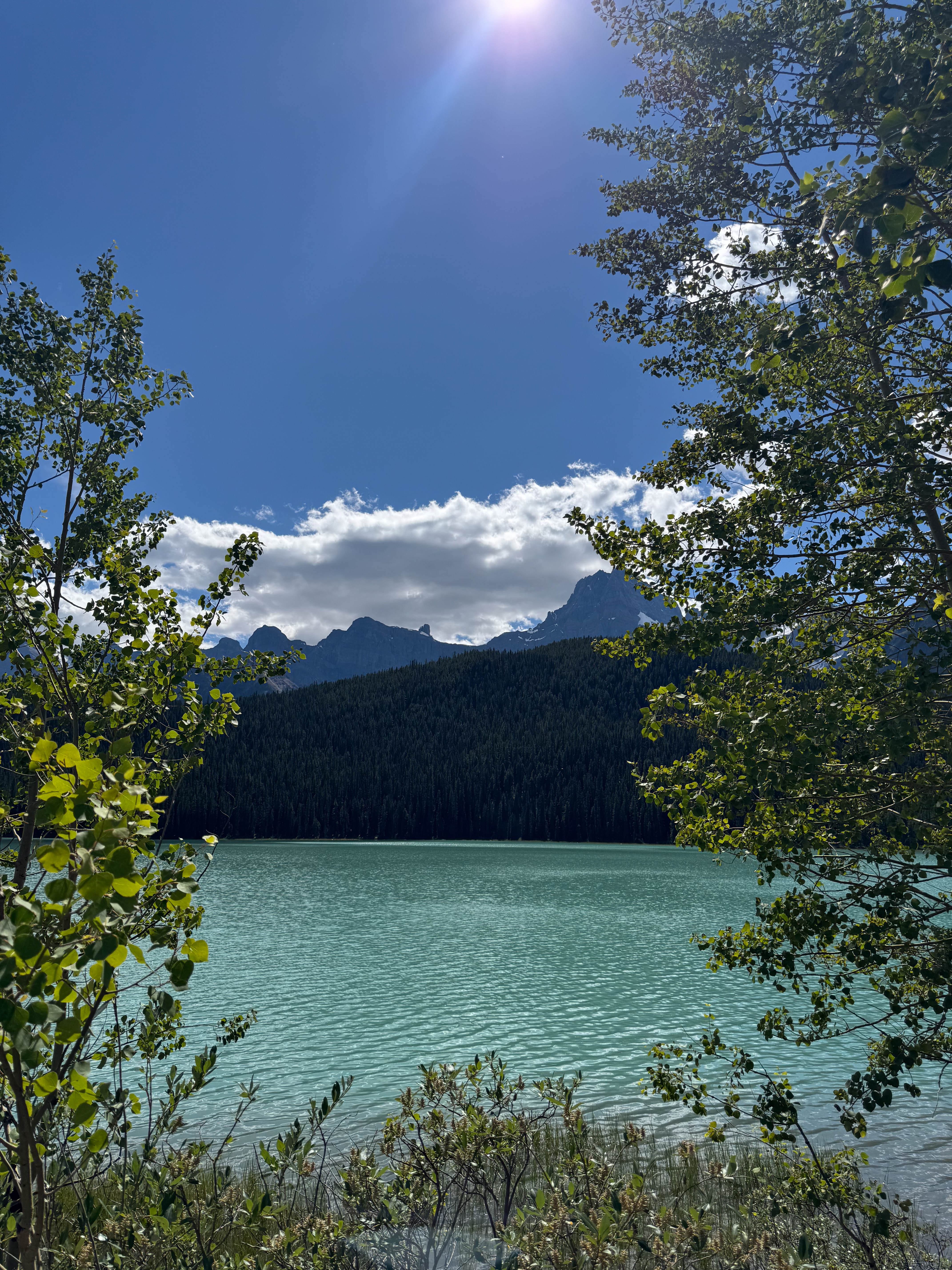 https://0201.nccdn.net/4_2/000/000/020/0be/calgary-order-209.jpg