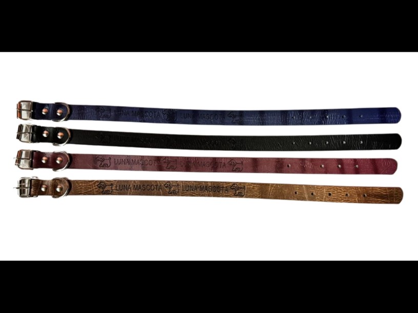 COLLAR LUNA MASCOTA COLORES